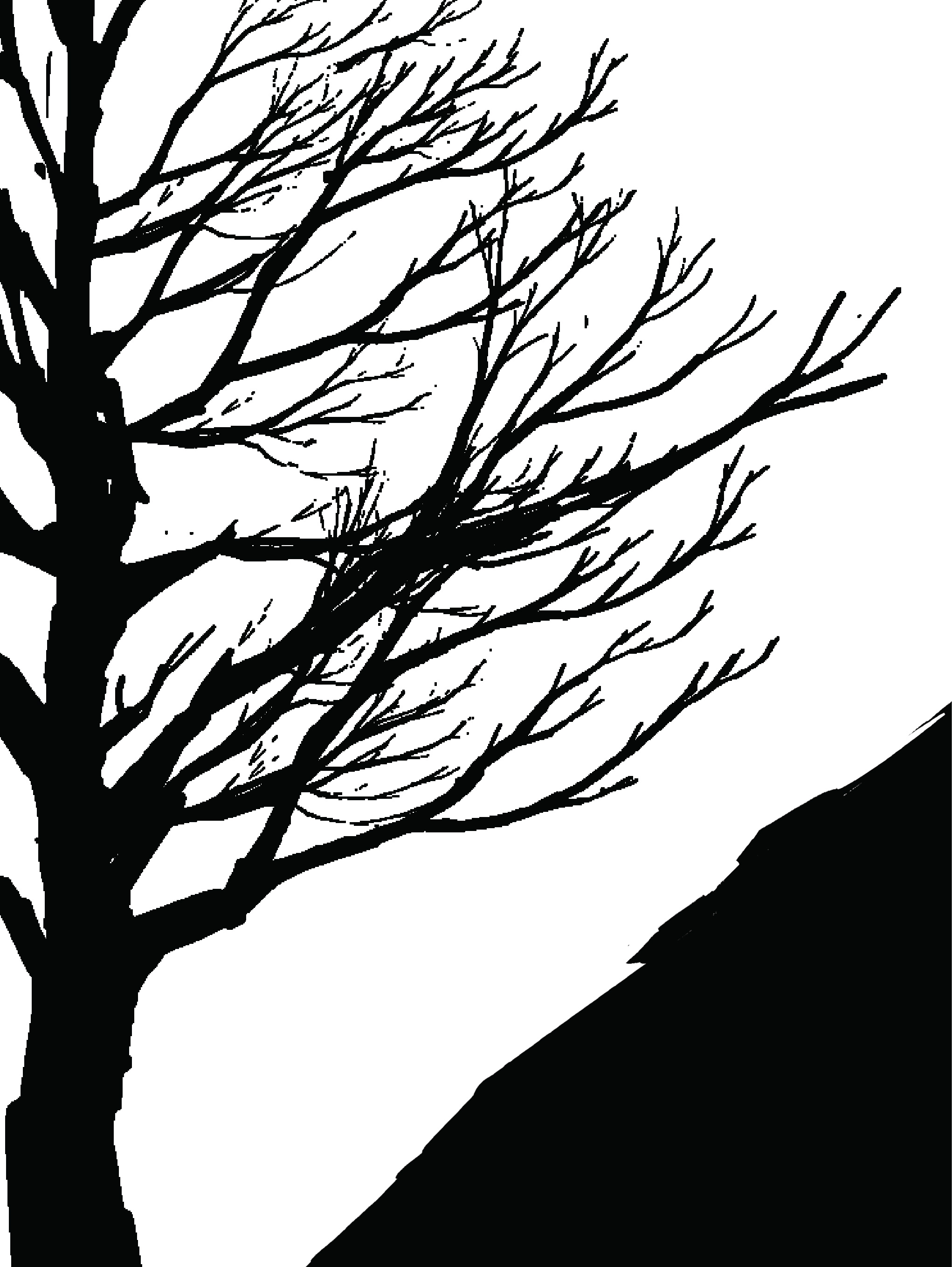 Page 26 (Back Cover)